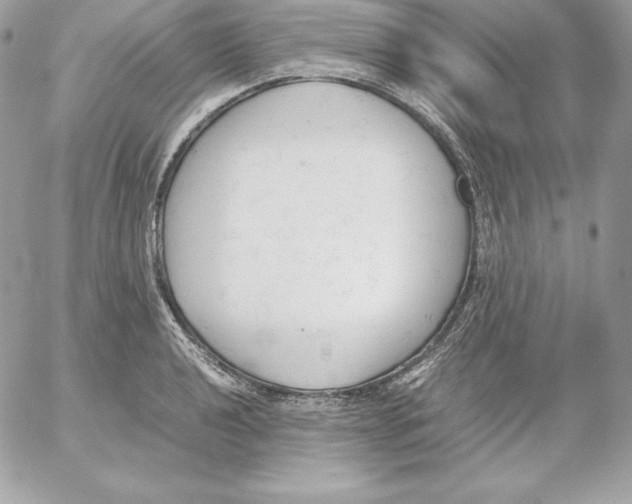 X0000052611040200507221654