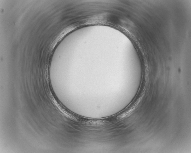 X0000052611041200507221654