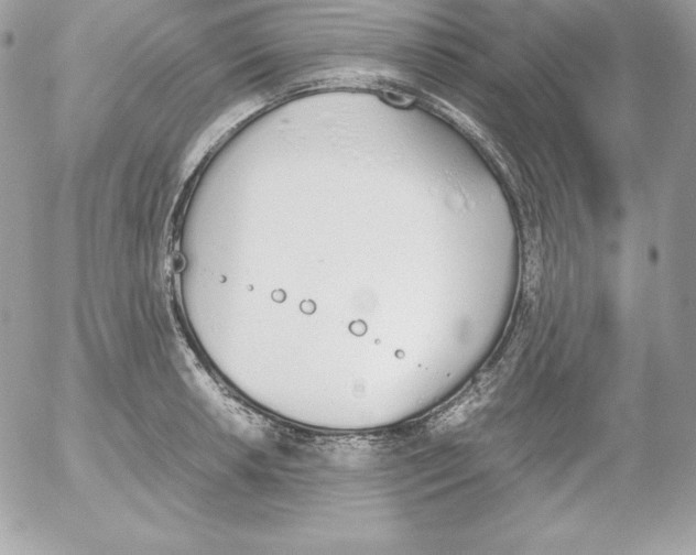 X0000052611042200507221654