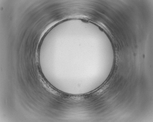 X0000052611044200507221654