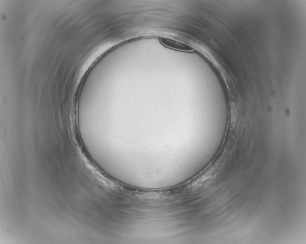 X0000052611048200507221654