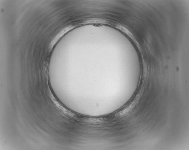 X0000052611049200507221654