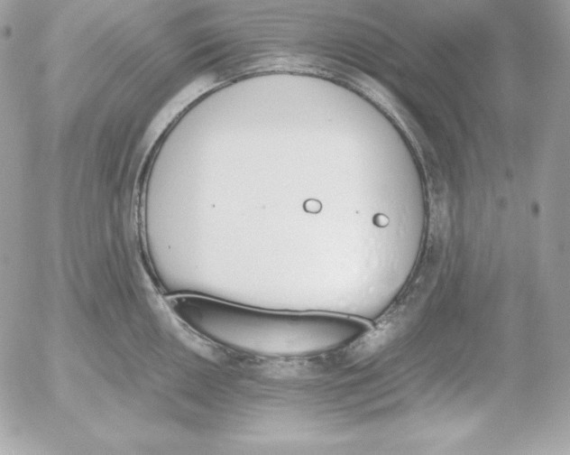 X0000052611050200507221654