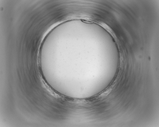 X0000052611052200507221654