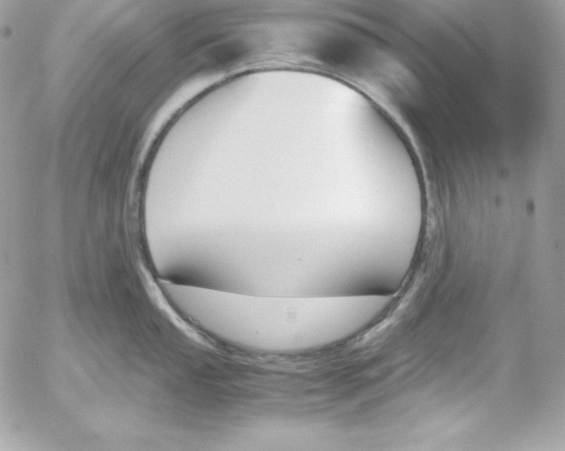 X0000052611053200507221654