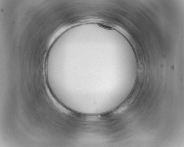 X0000052611055200507221654