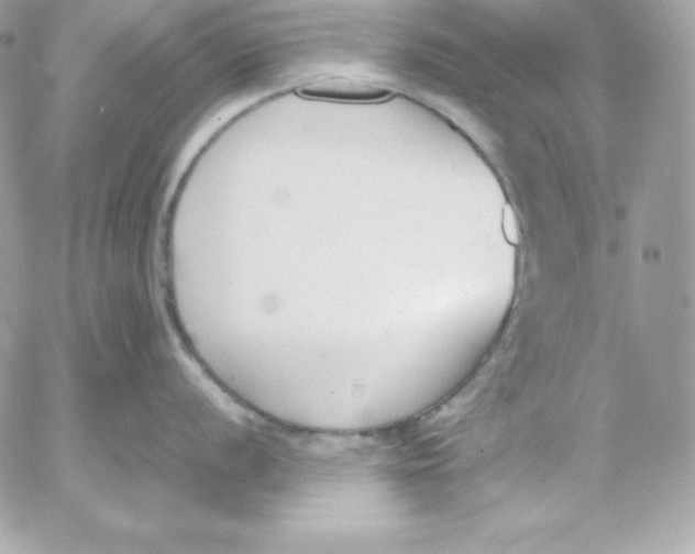 X0000052611056200507221654