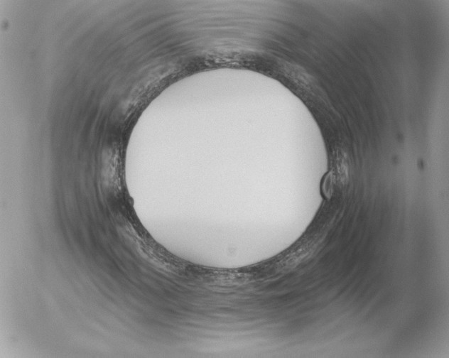 X0000052611060200507221653