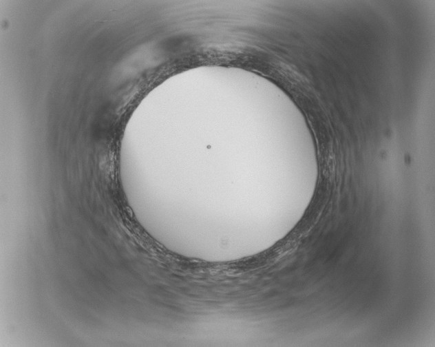 X0000052611061200507221653