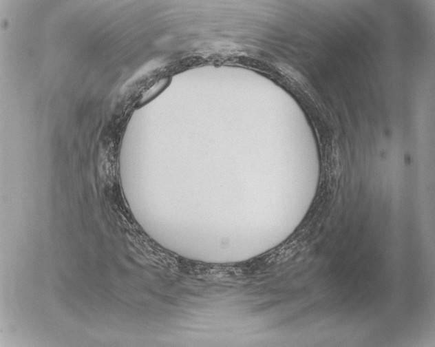 X0000052611063200507221653