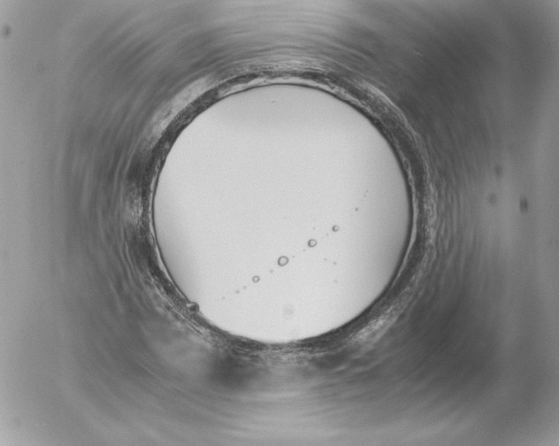 X0000052611065200507221653