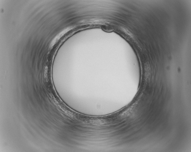 X0000052611066200507221653