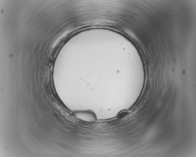 X0000052611067200507221653