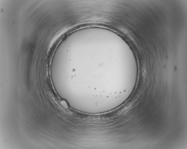 X0000052611069200507221653