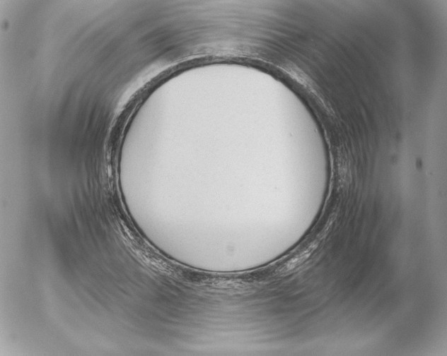 X0000052611070200507221653