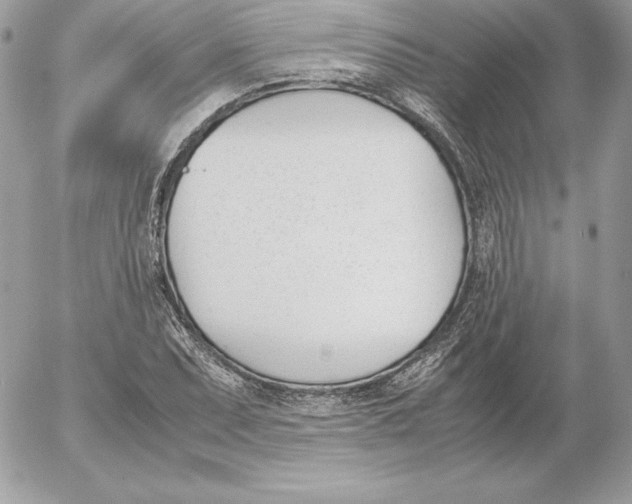 X0000052611071200507221653