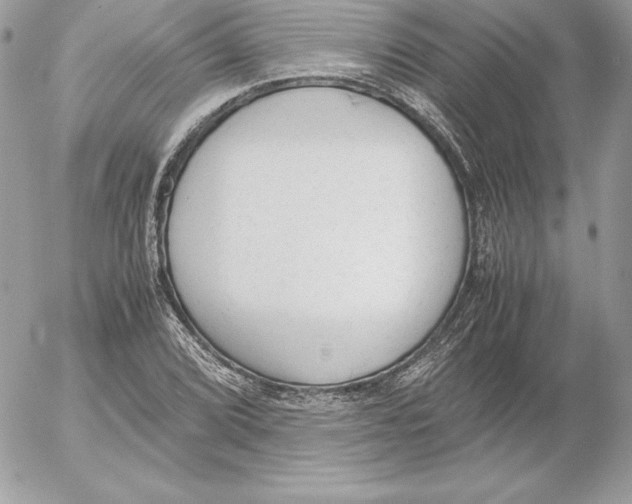 X0000052611072200507221653