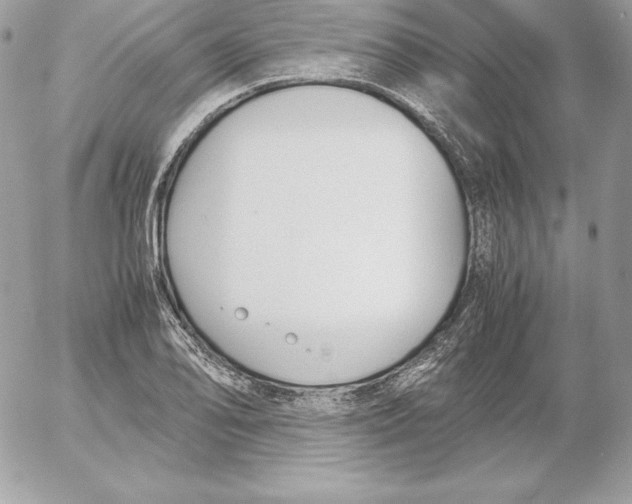 X0000052611078200507221653