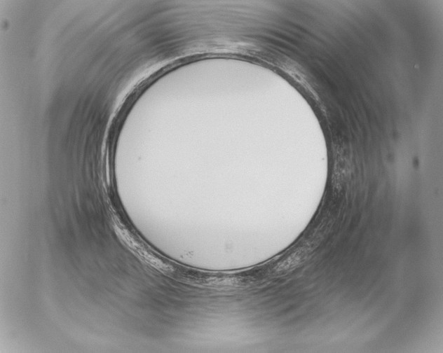 X0000052611080200507221653