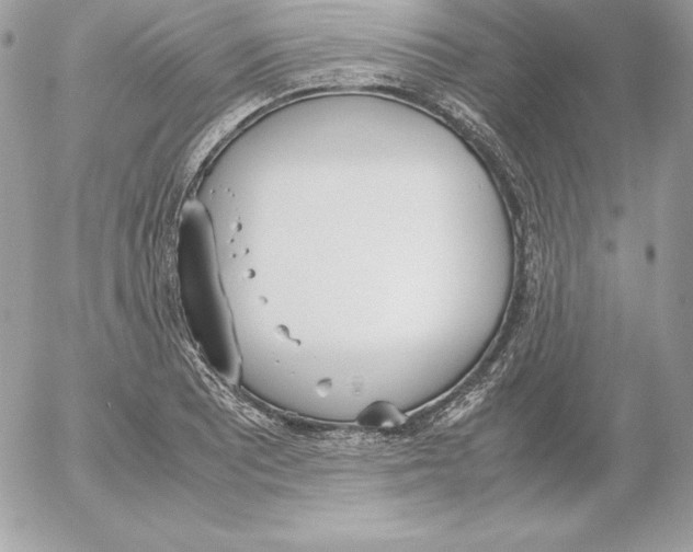 X0000052611081200507221653