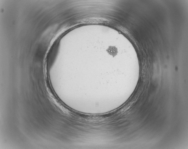 X0000052611083200507221653