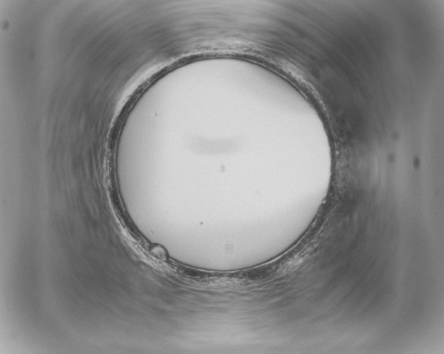 X0000052611085200507221653