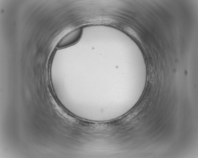 X0000052611087200507221653