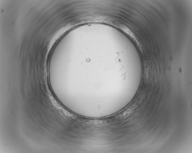 X0000052611088200507221653