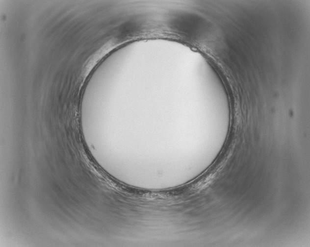 X0000052611089200507221653