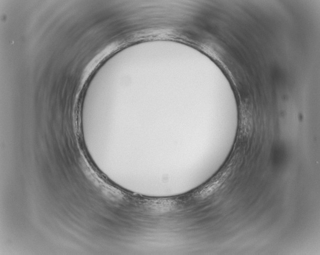 X0000052611090200507221653