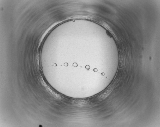 X0000052611092200507221653