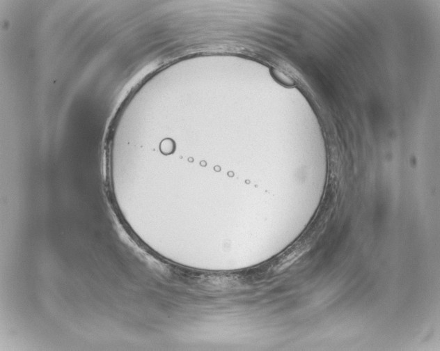 X0000052611095200507221653