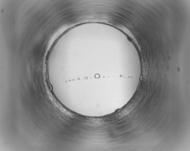 X0000052611096200507221653