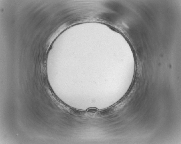 X0000052611097200507221653