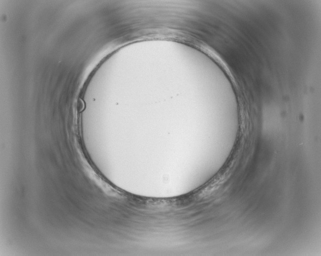 X0000052611099200507221653