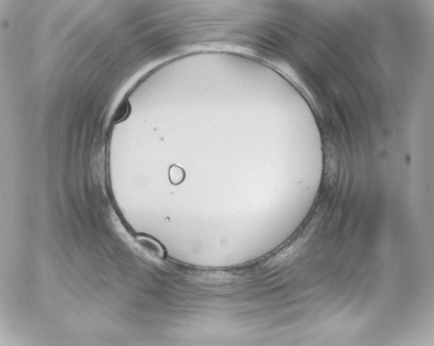 X0000052611100200507221653