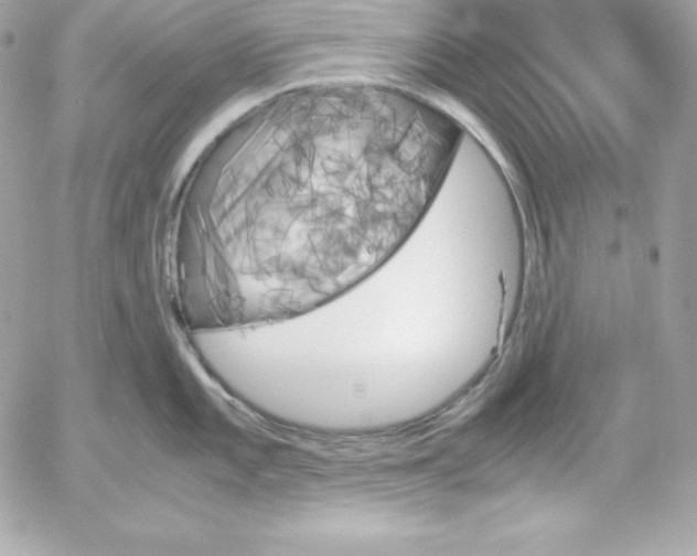 X0000052611101200507221653