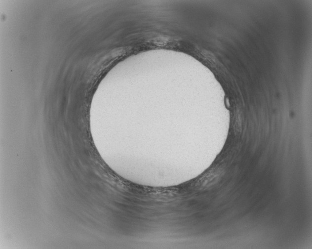 X0000052611105200507221652