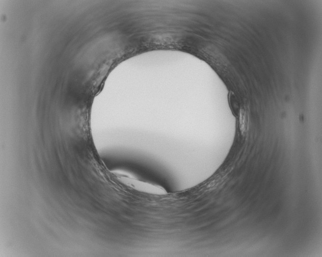 X0000052611107200507221652