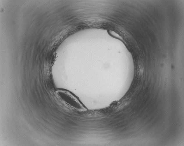 X0000052611108200507221652