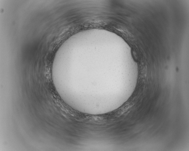 X0000052611109200507221652