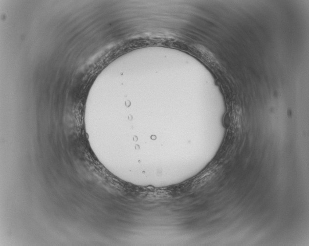 X0000052611110200507221652