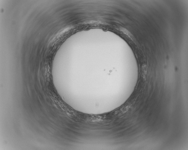 X0000052611111200507221652