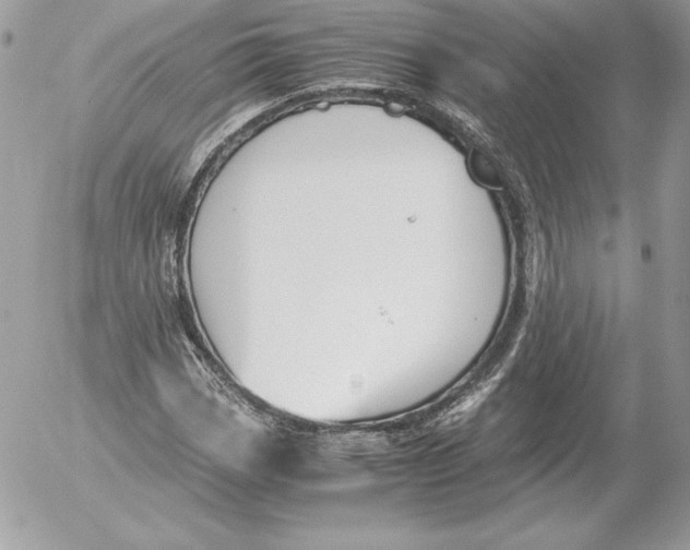 X0000052611113200507221652