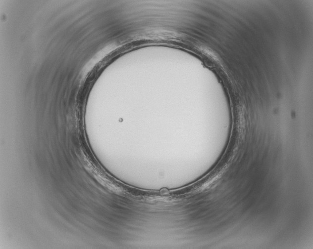 X0000052611114200507221652