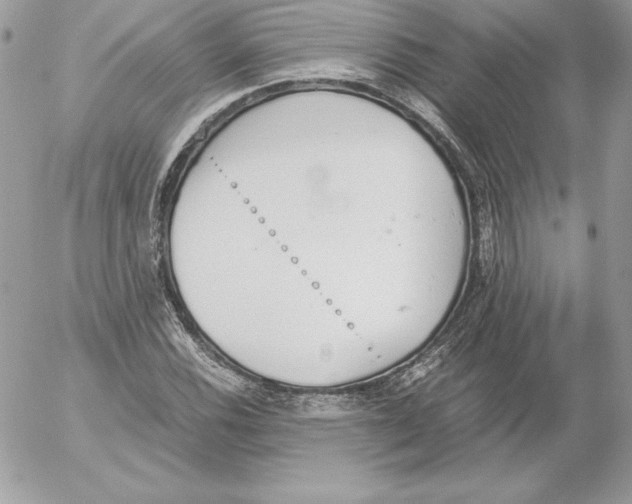 X0000052611116200507221652