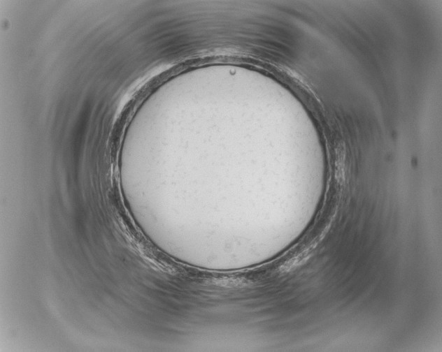 X0000052611117200507221652