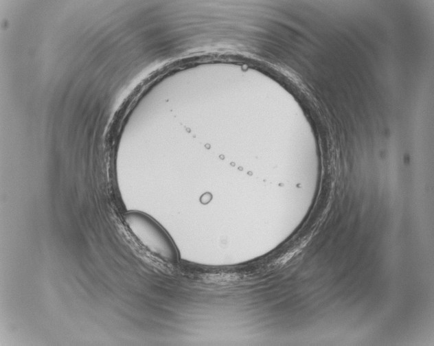 X0000052611118200507221652