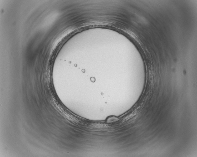 X0000052611119200507221652