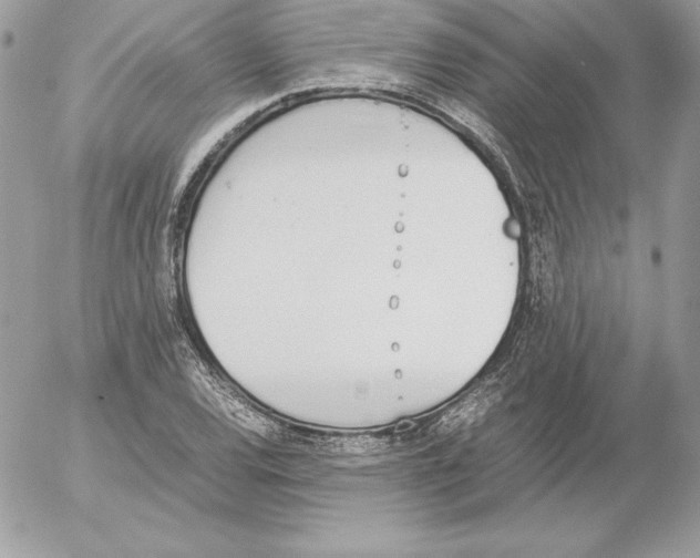 X0000052611120200507221652